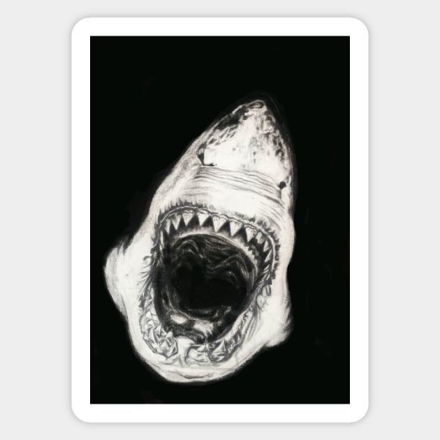 White Shark Sticker by calamarisky